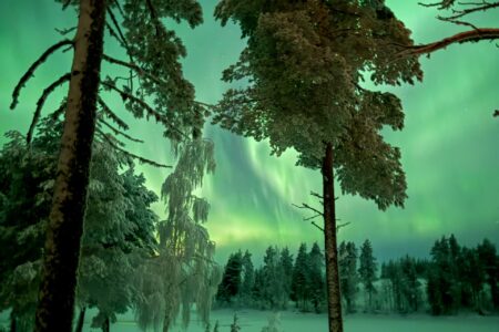 If You Want to See the Aurora in 2026, When Should You Go and Where?