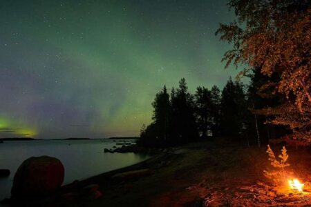 pic_term_aurora