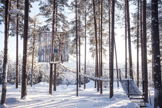 treehotel-2